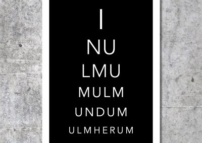 Julian Danner – In Ulm um Ulm und um Ulm herum